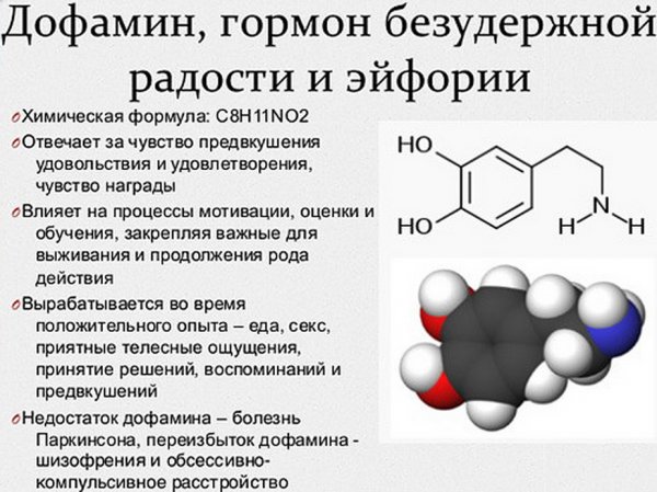 Дофамин гормон любви