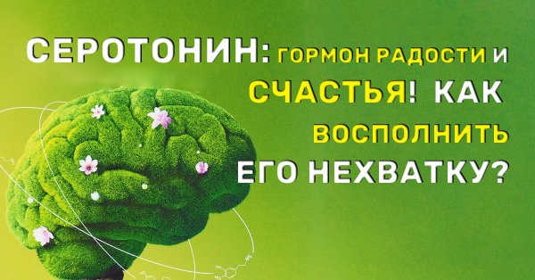 Серотонин гормон радости и счастья