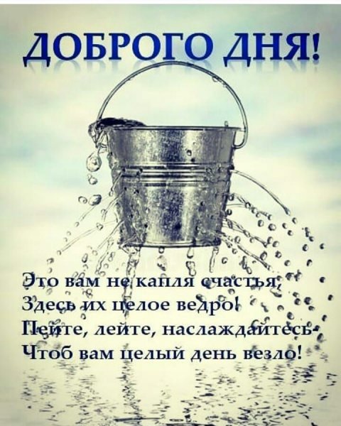 Доброе утро ведро
