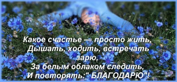 Счастье просто жить и любить