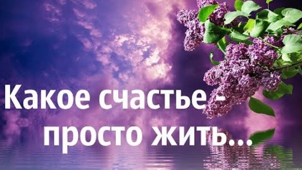 Какое счастье просто жить