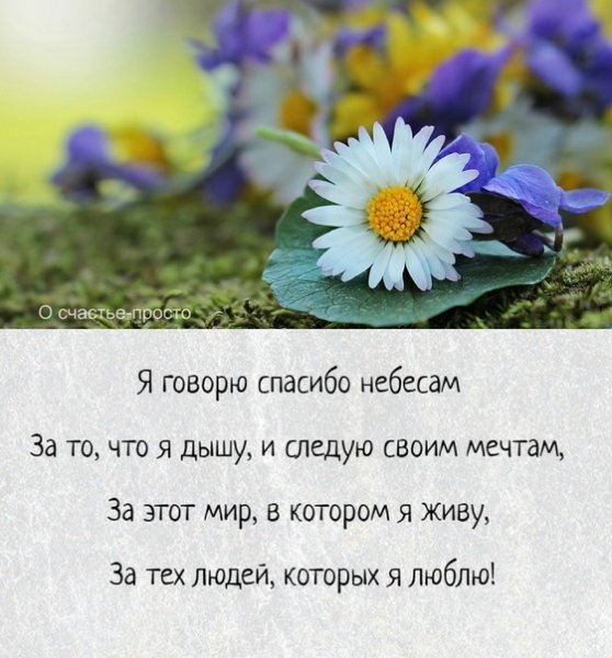 Стихи о счастье