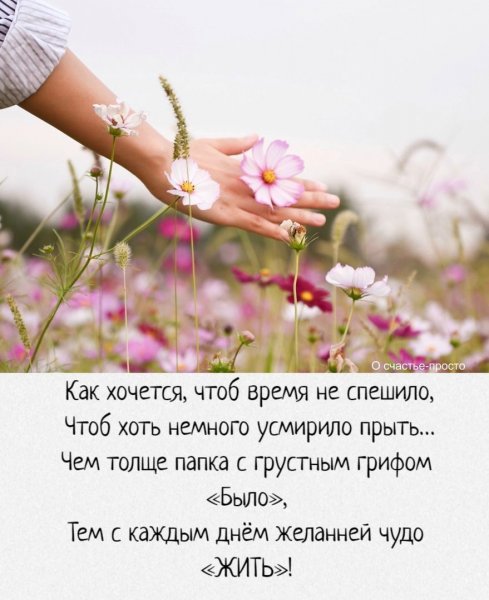 Стихи о радости жизни