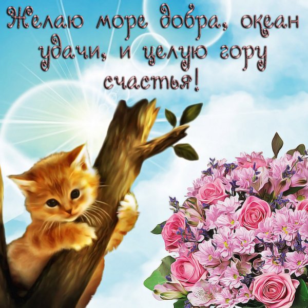 Пожелания на каждый день ь