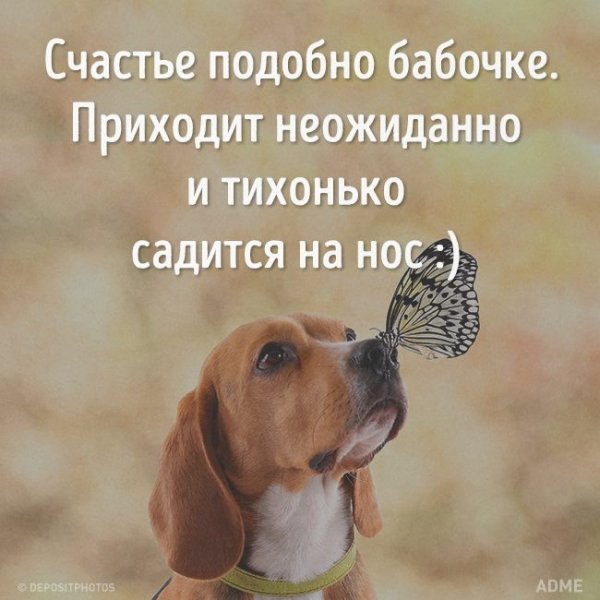 Счастье придет