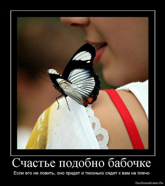 Счастье подобно бабочке