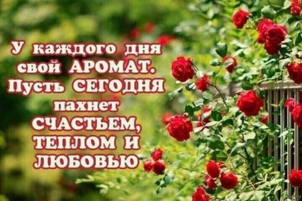 Счастье каждый день
