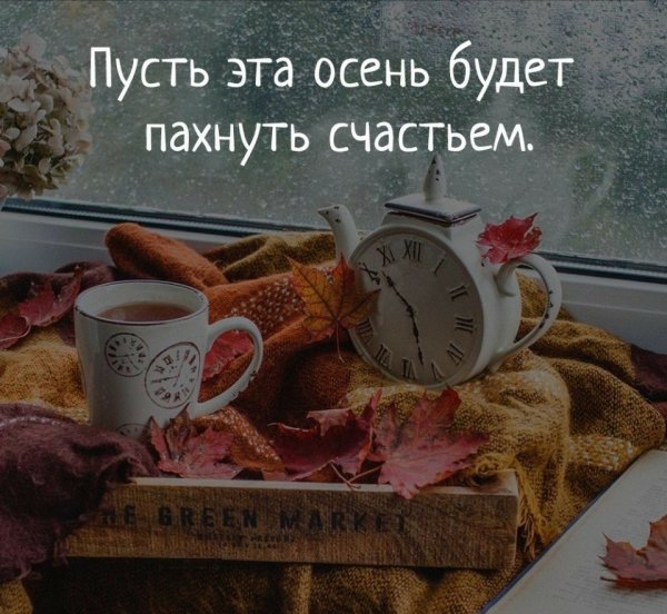Осенние уютные цитаты