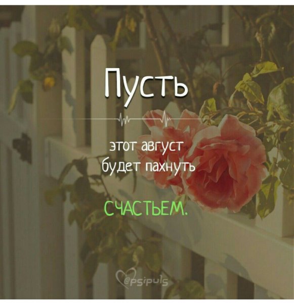 Пусть этот август будет пахнуть счастьем