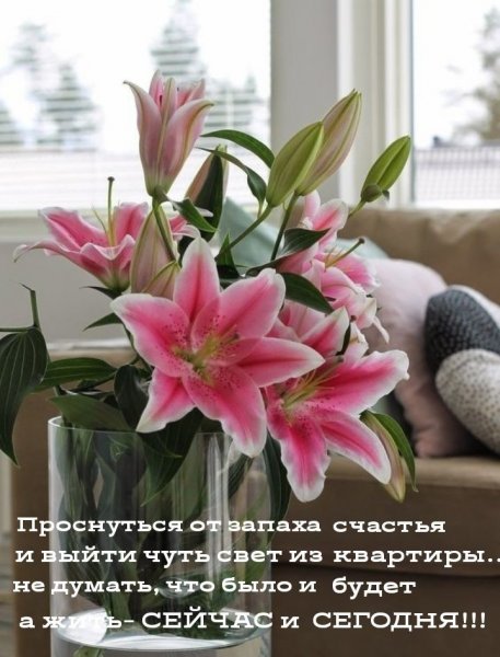 Проснуться от запаха счастья