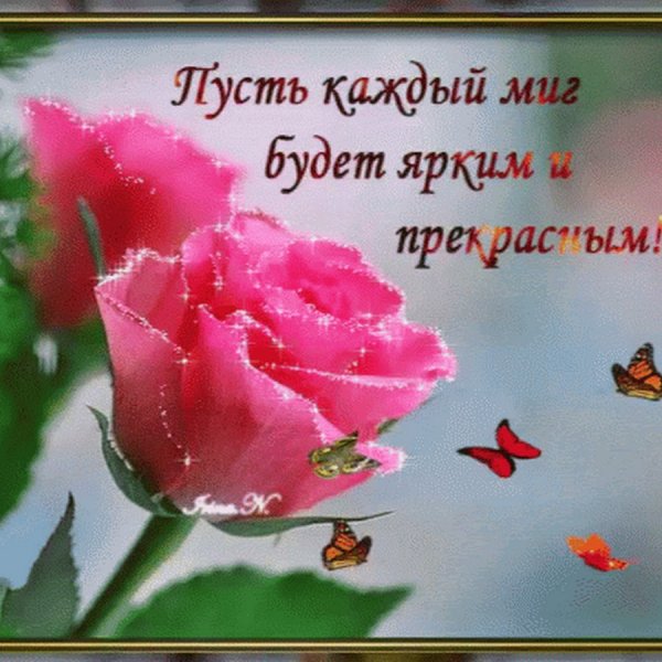 Открытка пусть в вашем доме пахнет счастьем