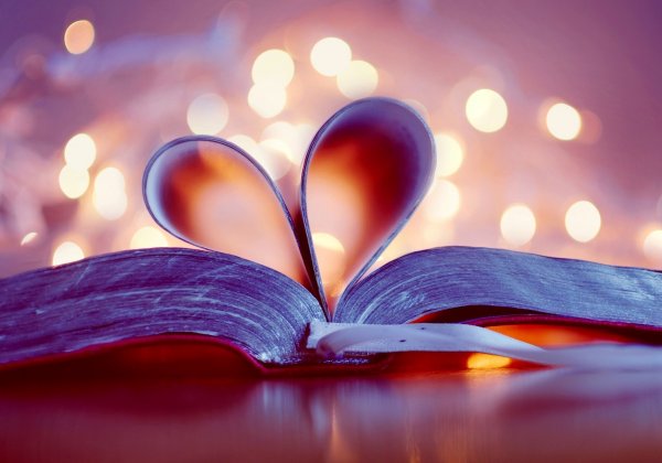 Нежные голубенькие цветочки на книге