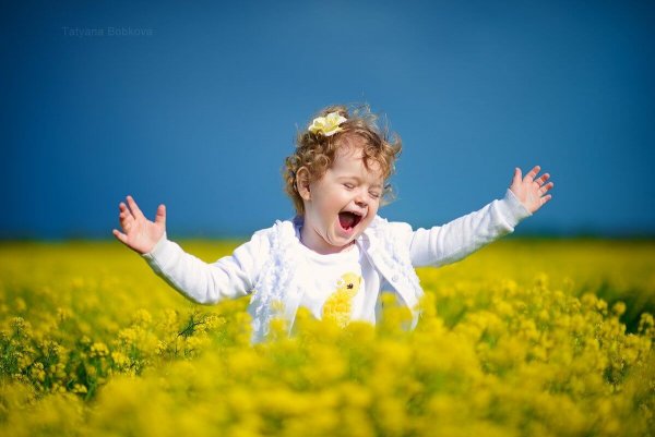 Гармония природы