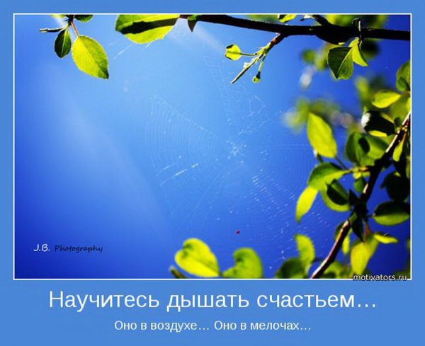 Научитесь дышать счастьем оно в мелочах