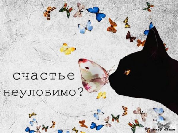 Ловить счастье