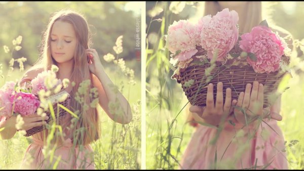 Нежные цветы для фотосессии