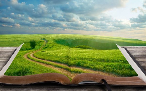 Красивые книги