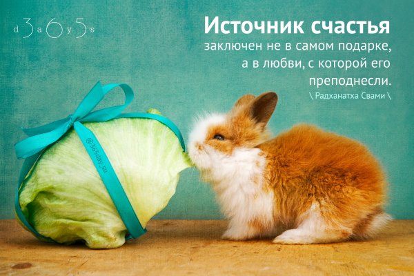 Афоризмы про подарки