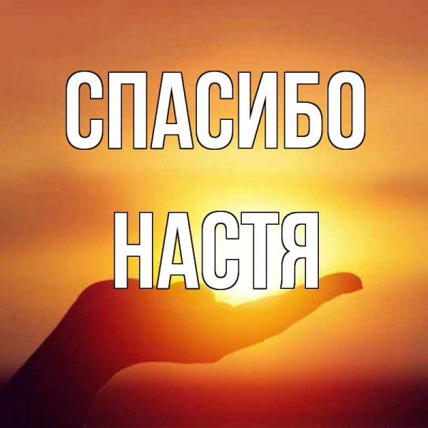 Юдина Стефания