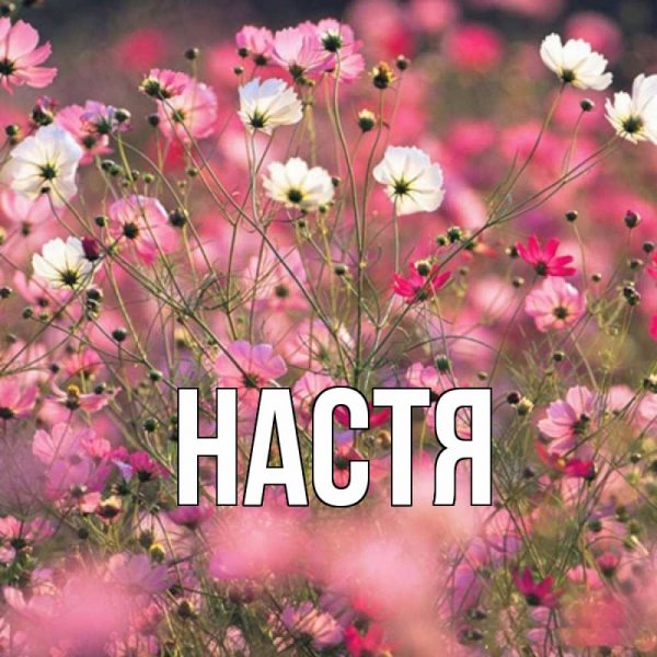 Юля прости