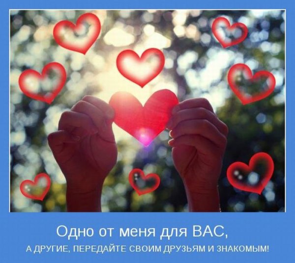 Сердце любовь