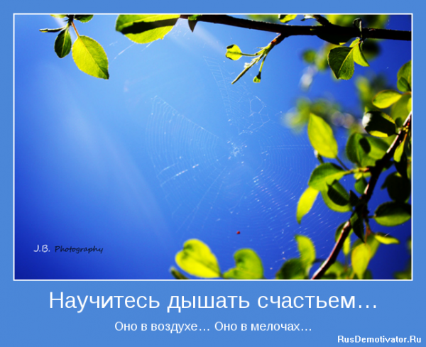 Мотиваторы о счастье в жизни