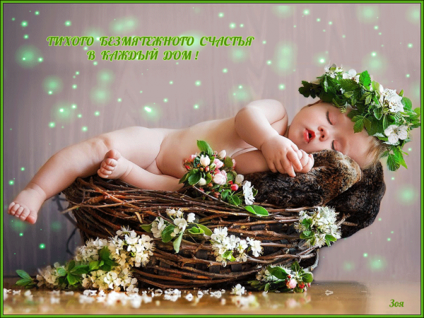 Счастье в доме