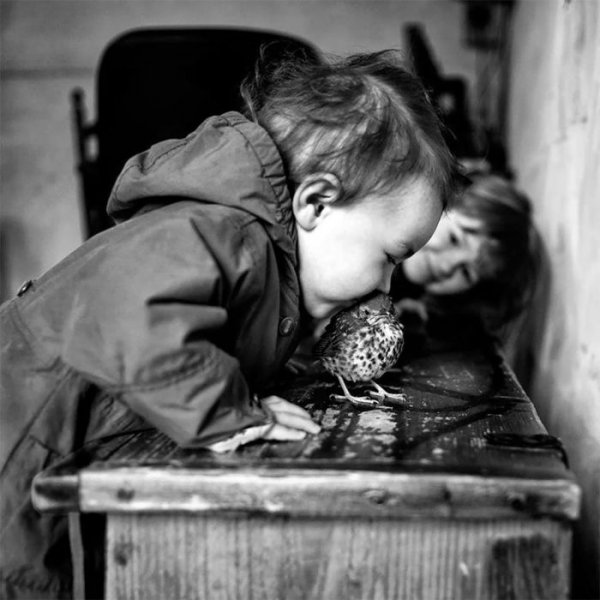 Ален Лебуаль (Франция) фотограф