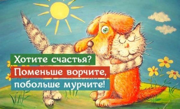 Счастье любит тишину цитаты