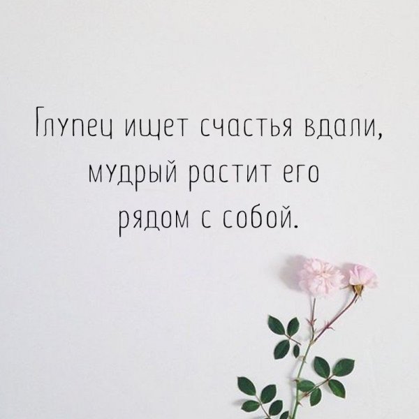 Афоризмы про счастье
