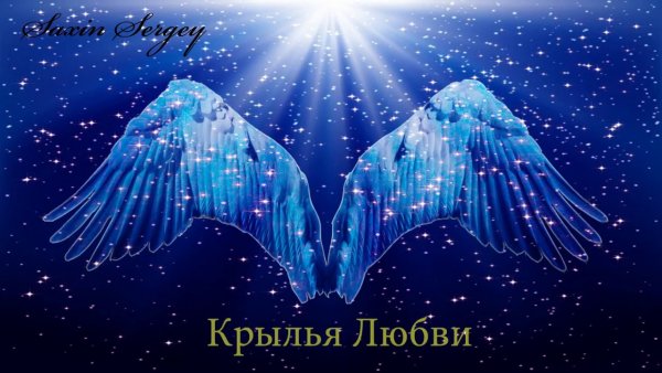 На крыльях любви