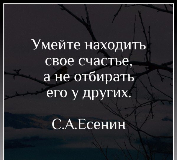 Чужая семья цитаты