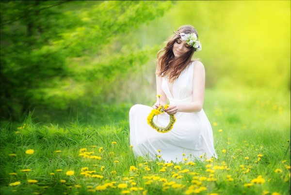 Фотосет в одуванчиках