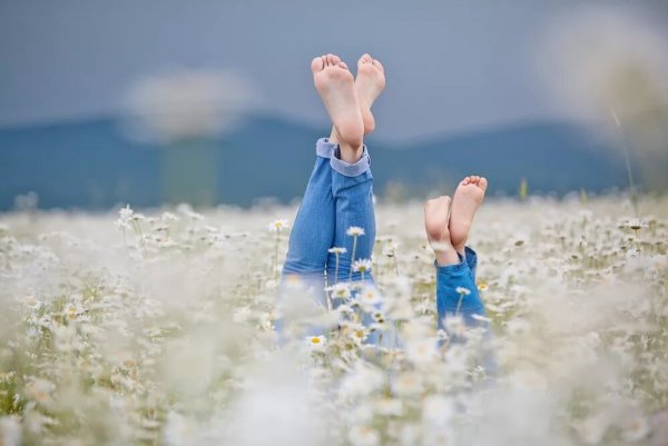 Стих о счастье мы всегда лишь вспоминаем