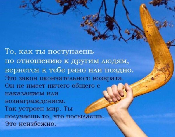 Бумеранг летит