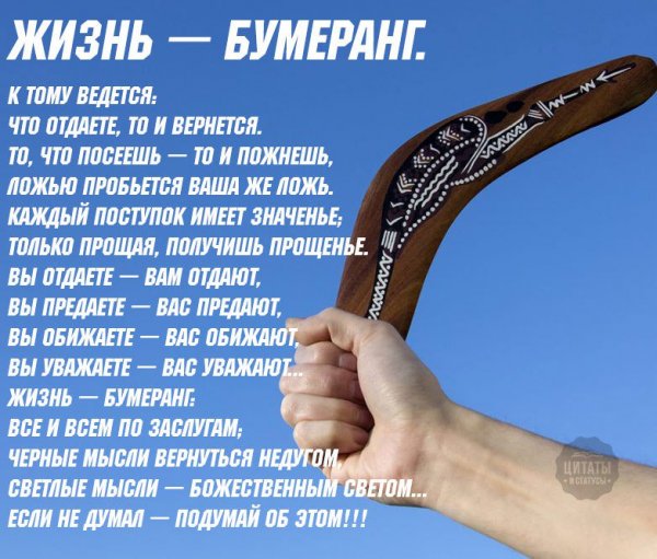 Теория бумеранга