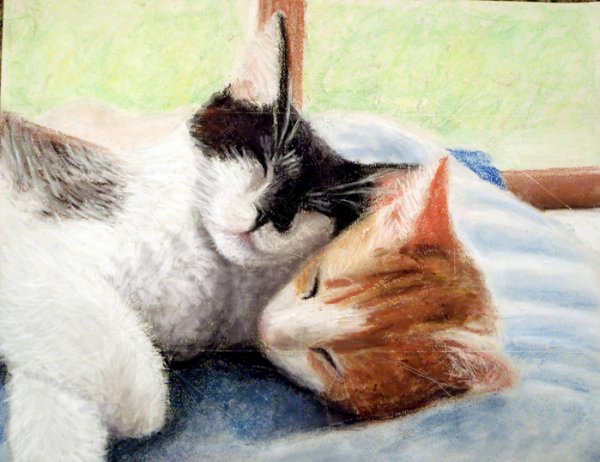 Кошка счастья