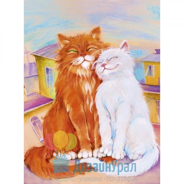 Любимому котику