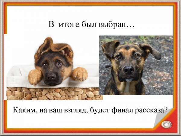 Эквивалент счастья Курамшина
