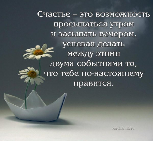 Счастье это возможность просыпаться утром и засыпать вечером