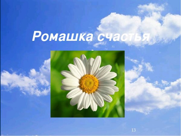 Ромашка счастья с ценностями