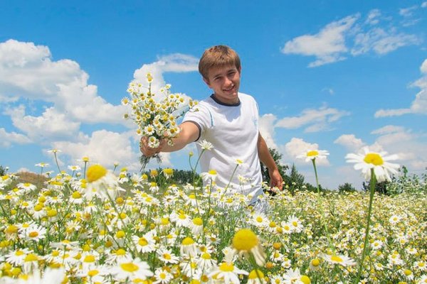 Мужчина в поле цветов