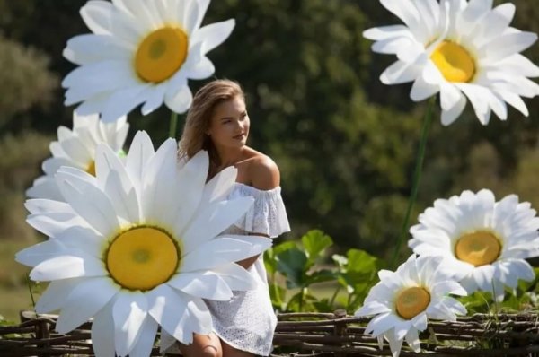 Фотозона с ромашками