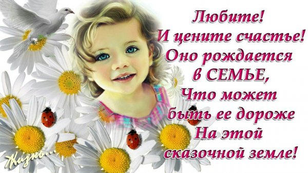 Любите и цените счастье оно рождается в семье