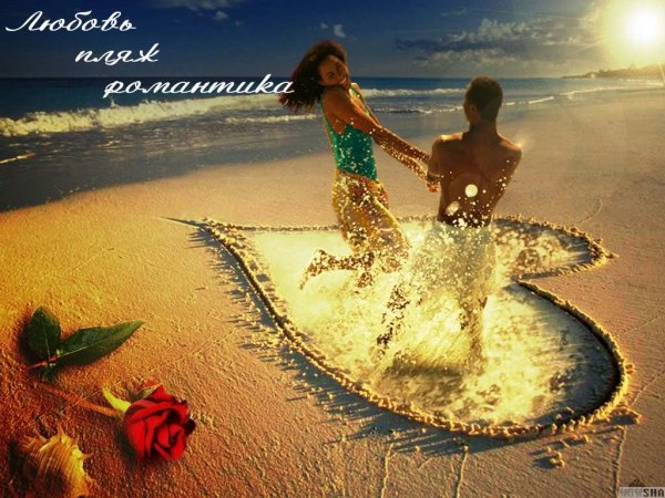 Солнце море счастье