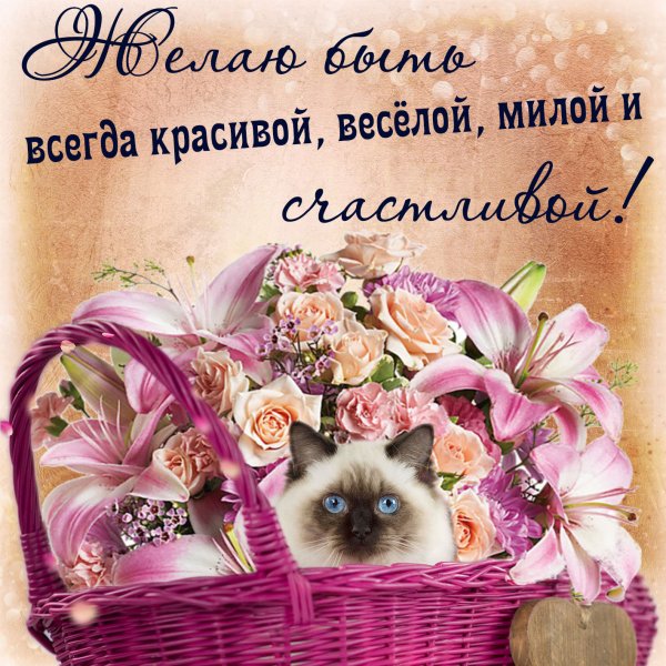 Девушка с шарами