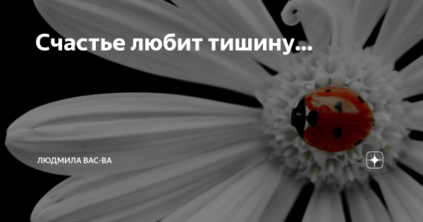 Счастье счастье любит тишину