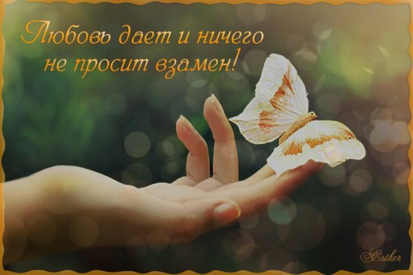 Любите жизнь