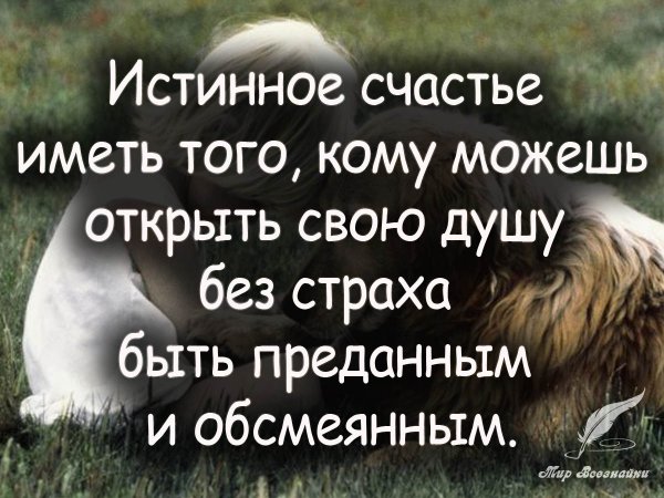 Смешные цитаты про счастье