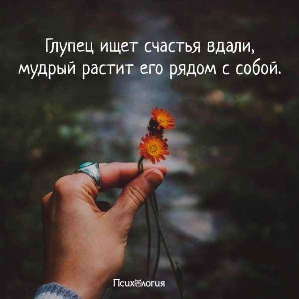 Ищите свое счастье